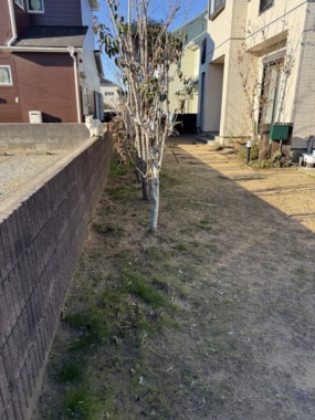 Before画像2