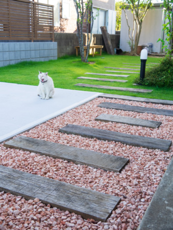 猫ちゃんと暮らす、ナチュラルガーデン画像