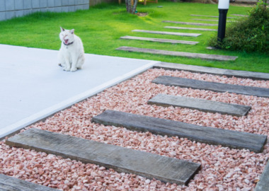 猫ちゃんと暮らす、ナチュラルガーデン画像